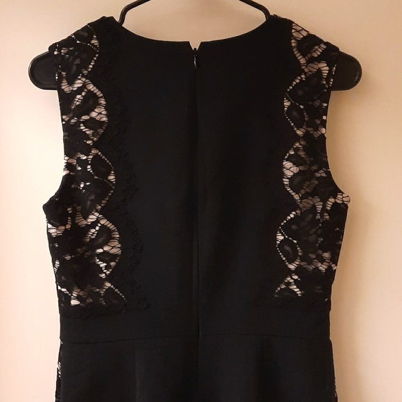 J. Crew Lace Panel Sheath Dress - Picture 10 of 12